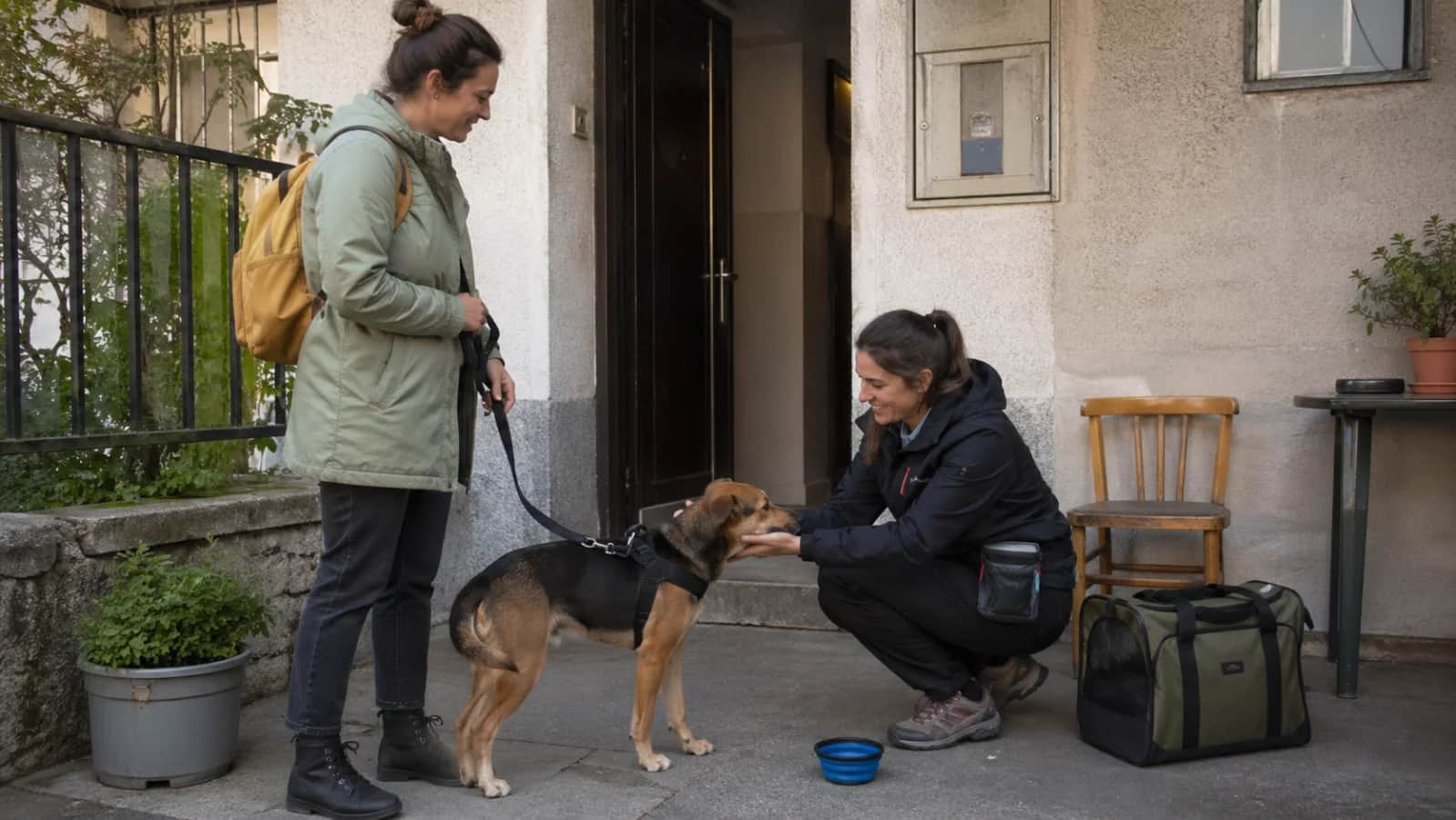 Kako izabrati pansion ili pet sitter-a bez griže savesti